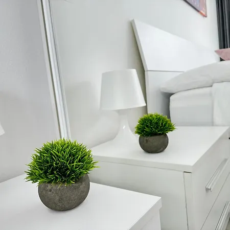 Grand View * 아바디아